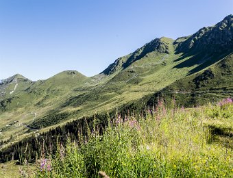 6D013791 Sur le chemin entre les Ruinettes et la Croix du Coeur