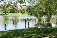 6D010233 Lac de Morat, Sugiez