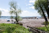 6D010235 Lac de Morat, Sugiez