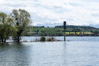 6D010237 Lac de Morat, Sugiez