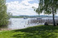 6D010243 Lac de Morat, Sugiez